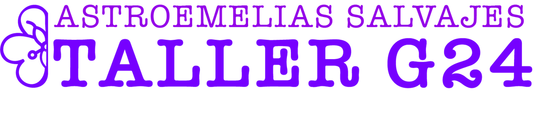 Astroemelias Salvajes: un taller que transforma escritura en comunidad y publicación