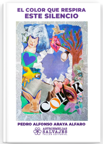 EL COLOR QUE RESPIRA ESTE SILENCIO -PEDRO ARAYA G24 - EBOOK EPUB